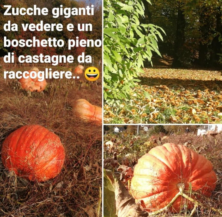 Belandin Ristorante Hotel Teglio Zewnętrze zdjęcie