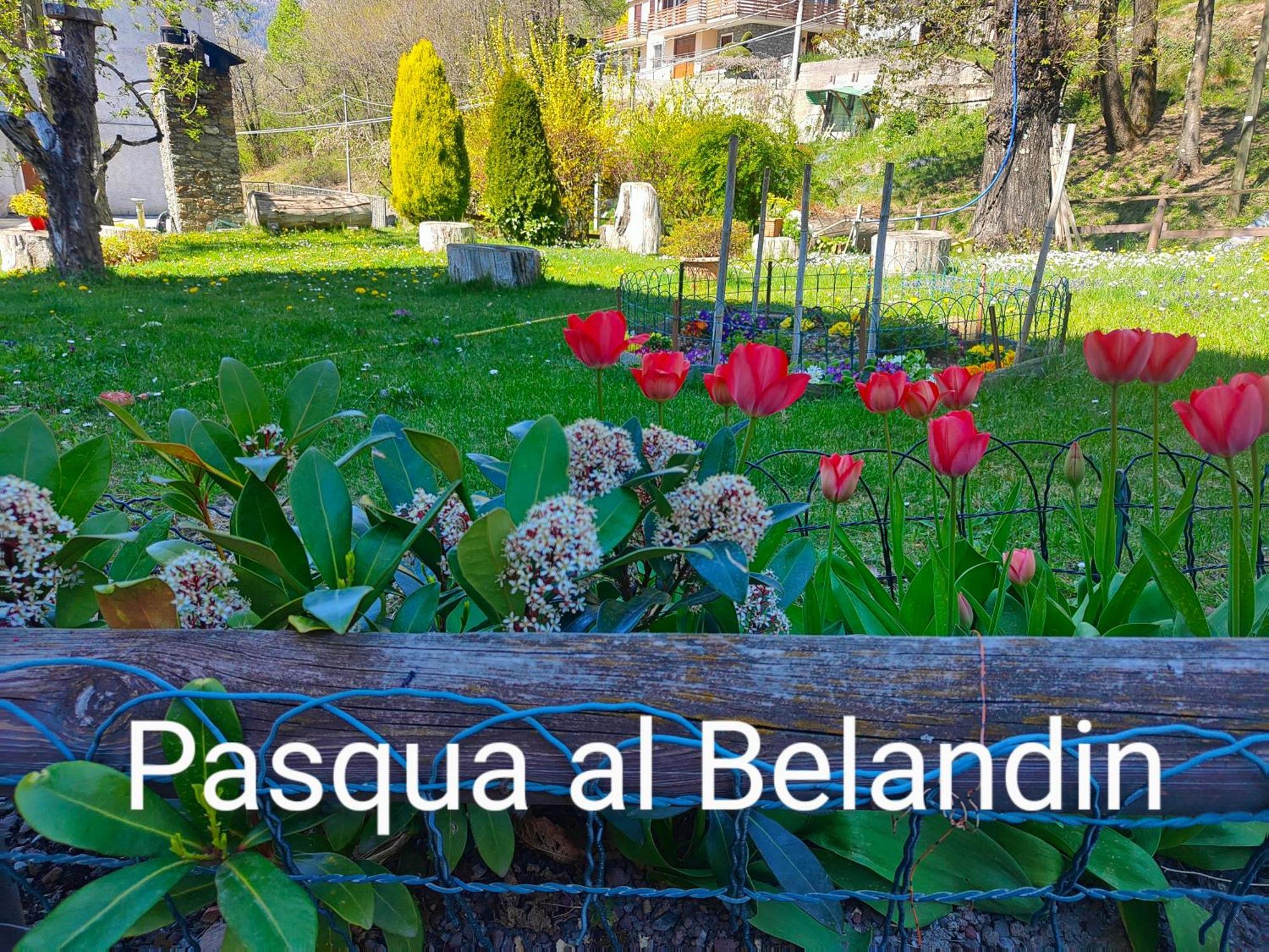Belandin Ristorante Hotel Teglio Zewnętrze zdjęcie